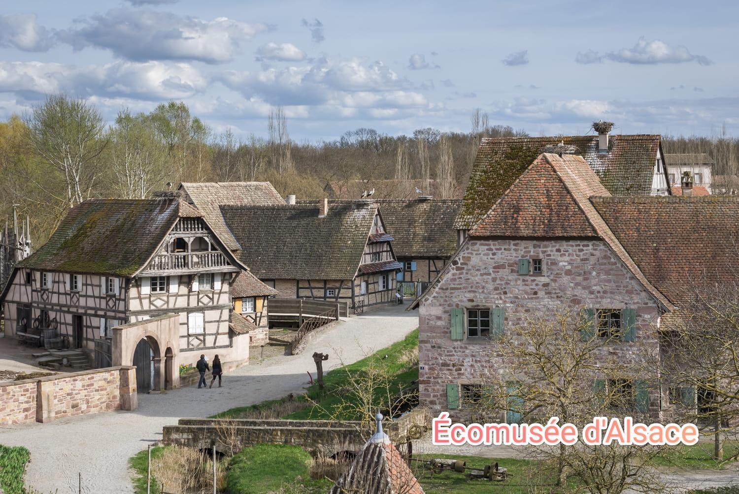 Entre Ville Et Vignes - Gite Classe 3 Etoiles Ingersheim Buitenkant foto